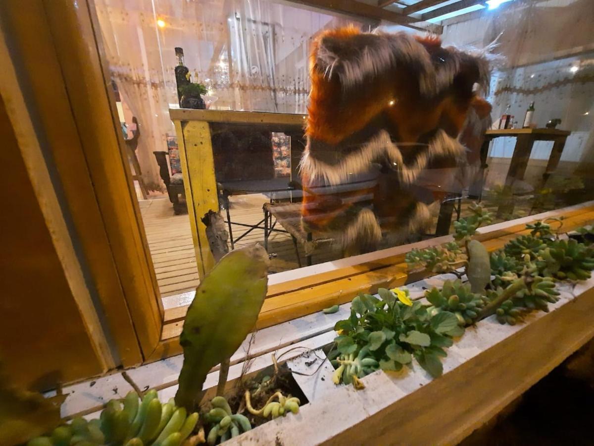 Pousada Vitrine Cambará المظهر الخارجي الصورة